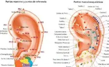 cropped-auriculo.png