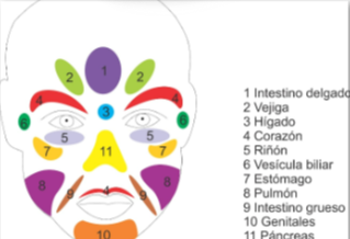 cropped-facioterapia.png
